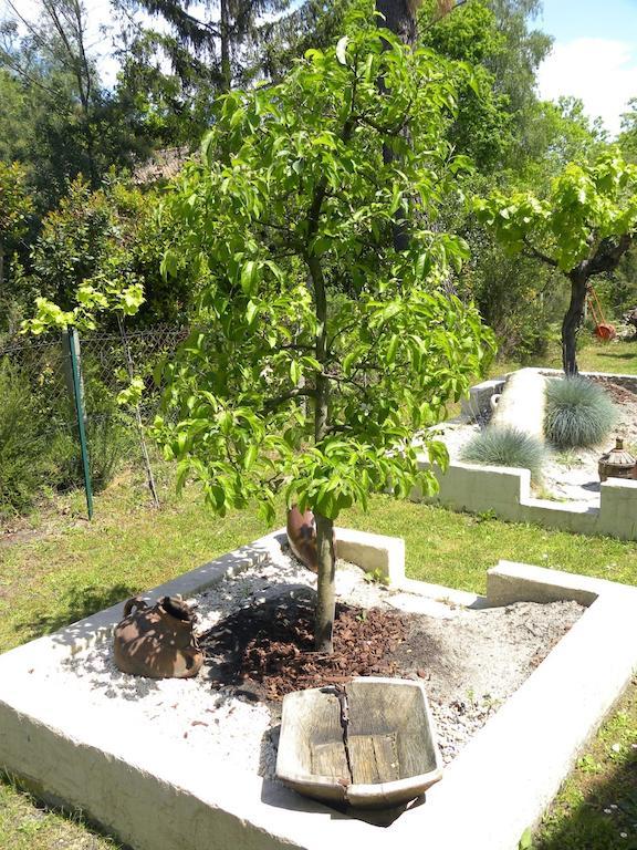 Villa Mogador Piscine Et Balneo 앙데르노스레방 외부 사진